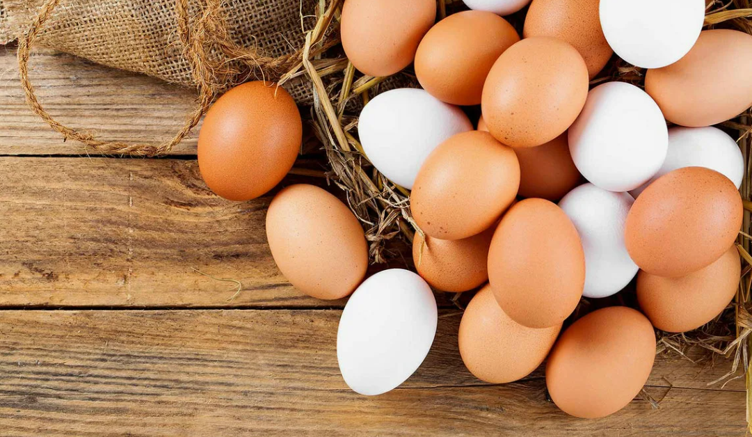 اسعار البيض اليوم اسعار البيض اليوم